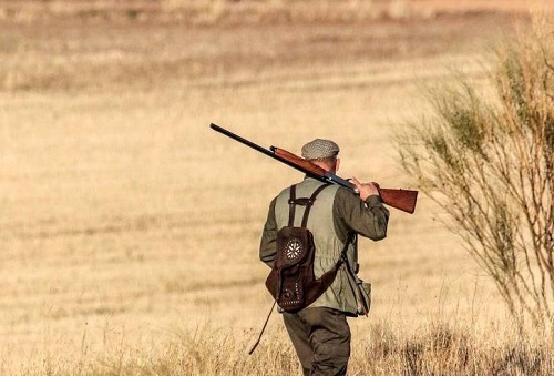 Coto caza en León