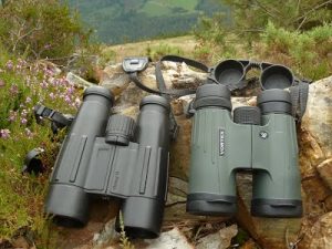 Mejores prismáticos Mejores prismáticos