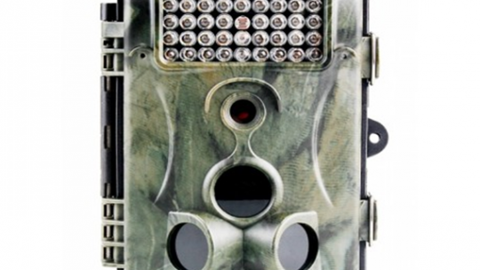 Cámara caza