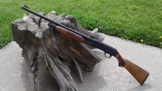 Escopeta de perdigones