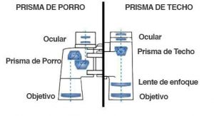 Estructura Óptica