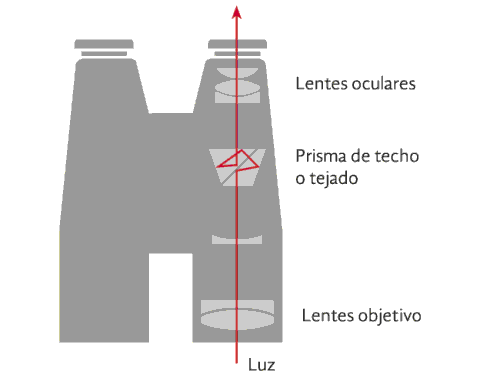 Prismaticos