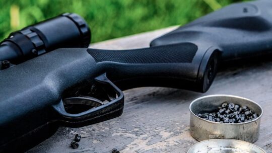 Escopeta de Perdigones ¿Cuál es la mejor y a qué precio?