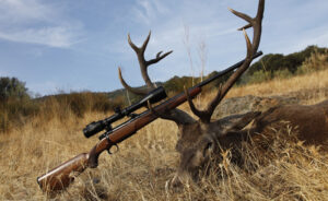 recechos de venado con armas de fuego