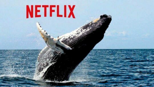Documentales de naturaleza y animales de Netflix