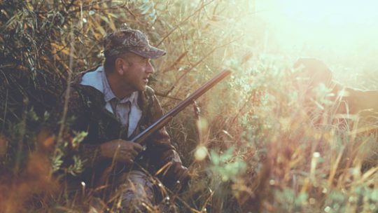 Cómo elegir un seguro de caza